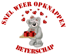 3 dagen dieet forum